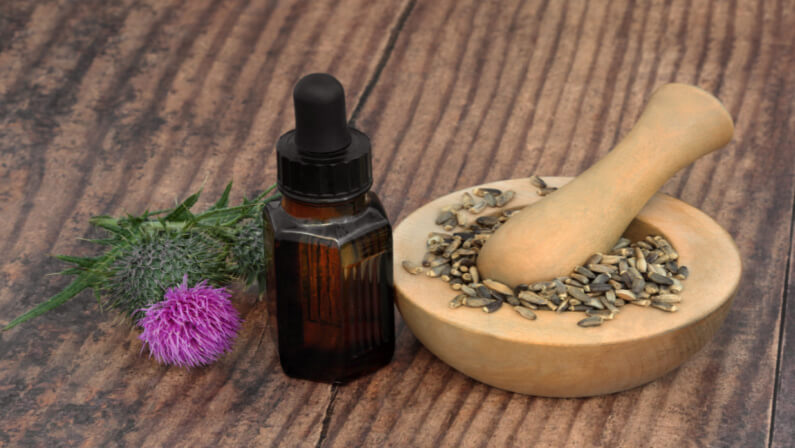 Milk thistle used as medicine